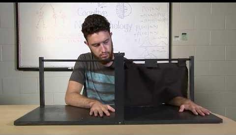 Mirror Box Illusion Unveils Brain’s Perception of Body Movement