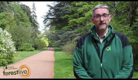 Sting Shines at Westonbirt Arboretum Concert