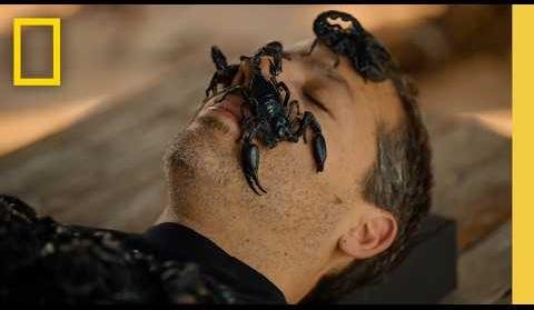 David Blaine Explores Extreme Feats in ‘Do Not Attempt